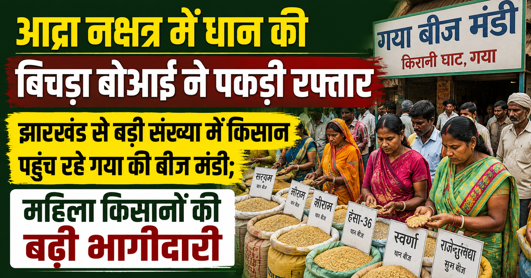 आद्रा नक्षत्र में धान की बिचड़ा बोआई ने पकड़ी रफ्तार, झारखंड से बड़ी संख्या में किसान पहुंच रहे गया की बीज मंडी; महिला किसानों की बढ़ी भागीदारी