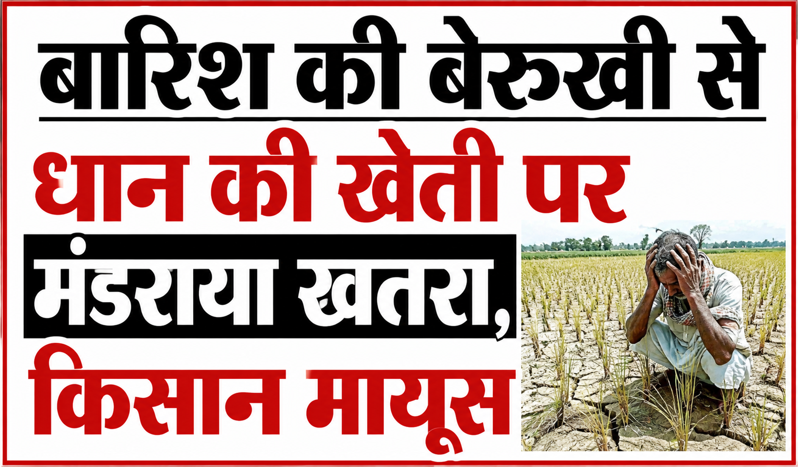 बारिश की बेरुखी से धान की खेती पर मंडराया खतरा, किसान मायूस