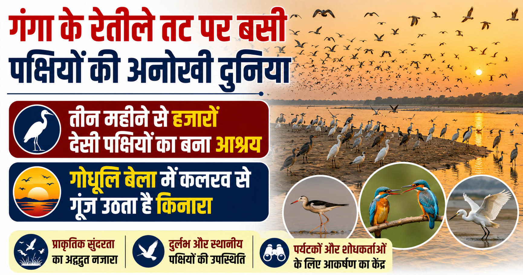 गंगा के रेतीले तट पर बसी पक्षियों की अनोखी दुनिया, तीन महीने से हजारों देसी पक्षियों का बना आश्रय; गोधूलि बेला में कलरव से गूंज उठता है किनारा