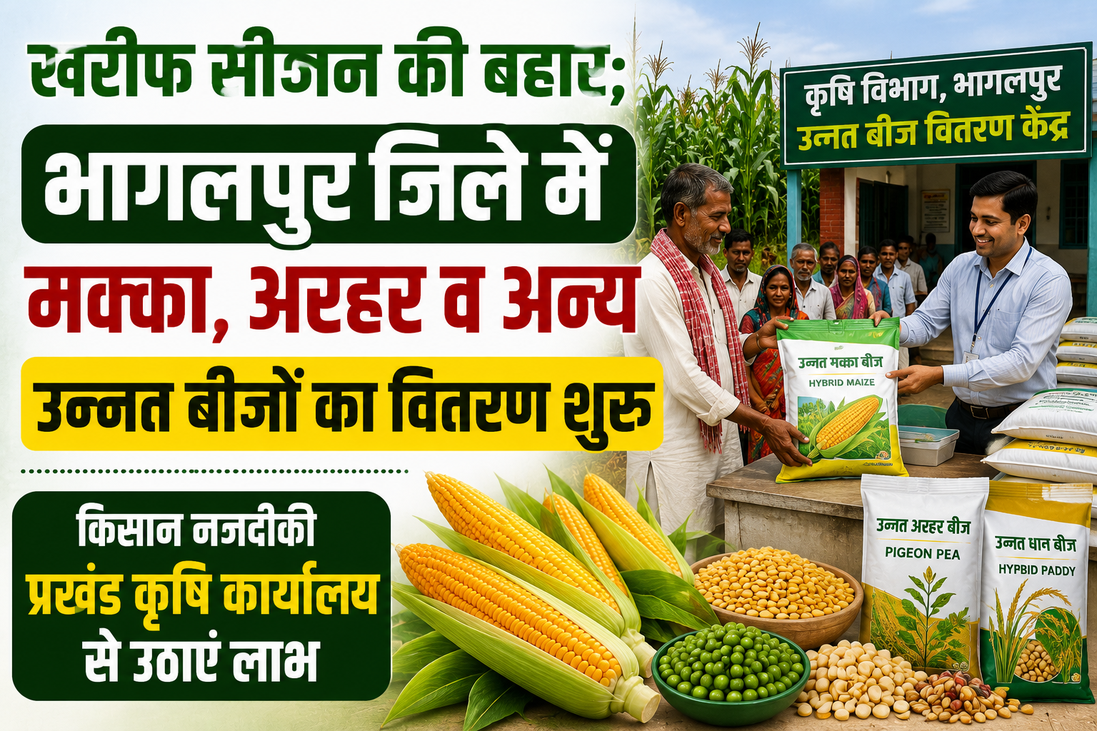 Kharif Season Flourishes; Distribution of High-Yielding Seeds for Maize, Arhar, and Other Crops Begins in Bhagalpur District; Farmers Advised to Avail Benefits from Nearest Block Agriculture Office