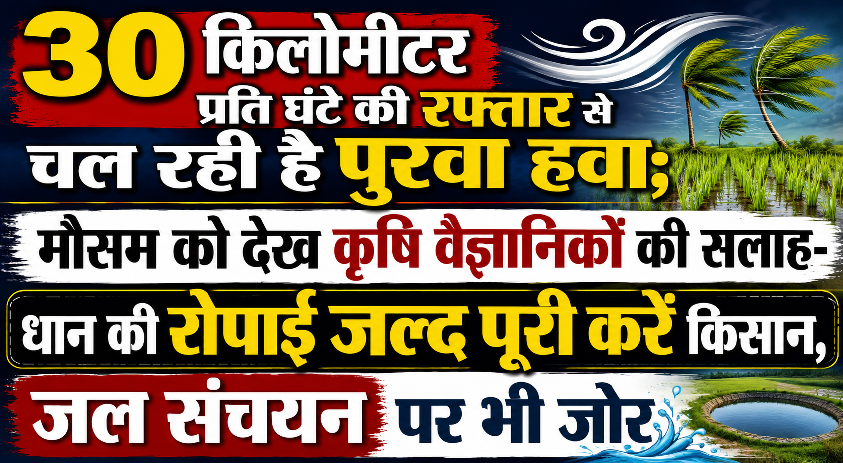 30 किलोमीटर प्रति घंटे की रफ्तार से चल रही है पुरवा हवा; मौसम को देख कृषि वैज्ञानिकों की सलाह- धान की रोपाई जल्द पूरी करें किसान, जल संचयन पर भी जोर
