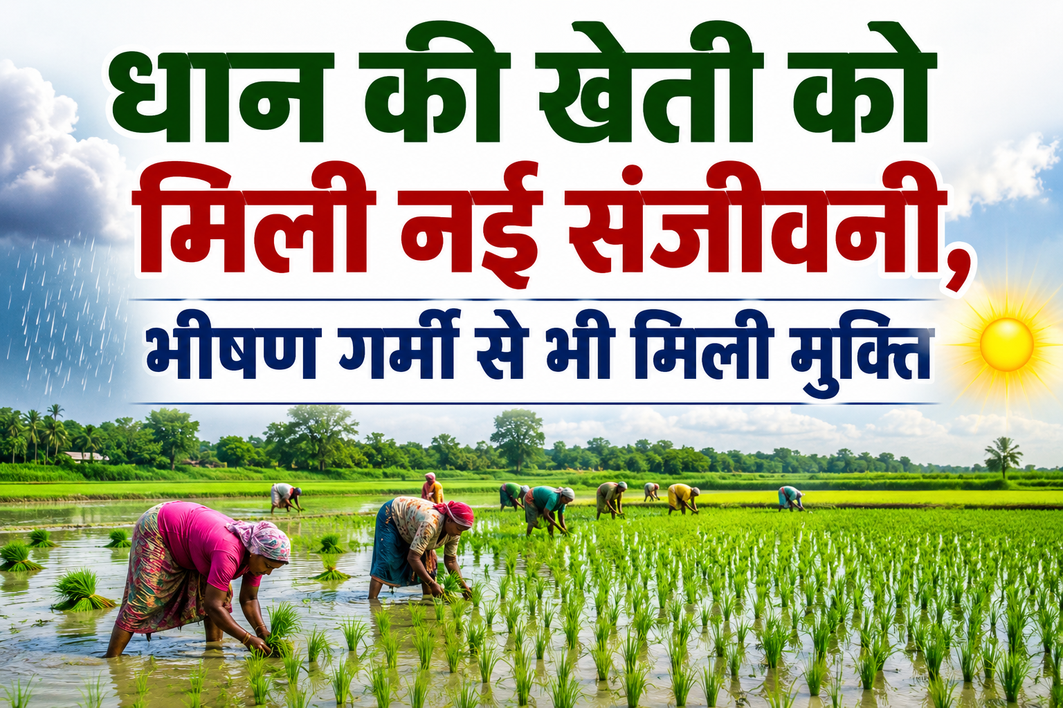 New Life for Paddy Crops and Relief from Scorching Heat