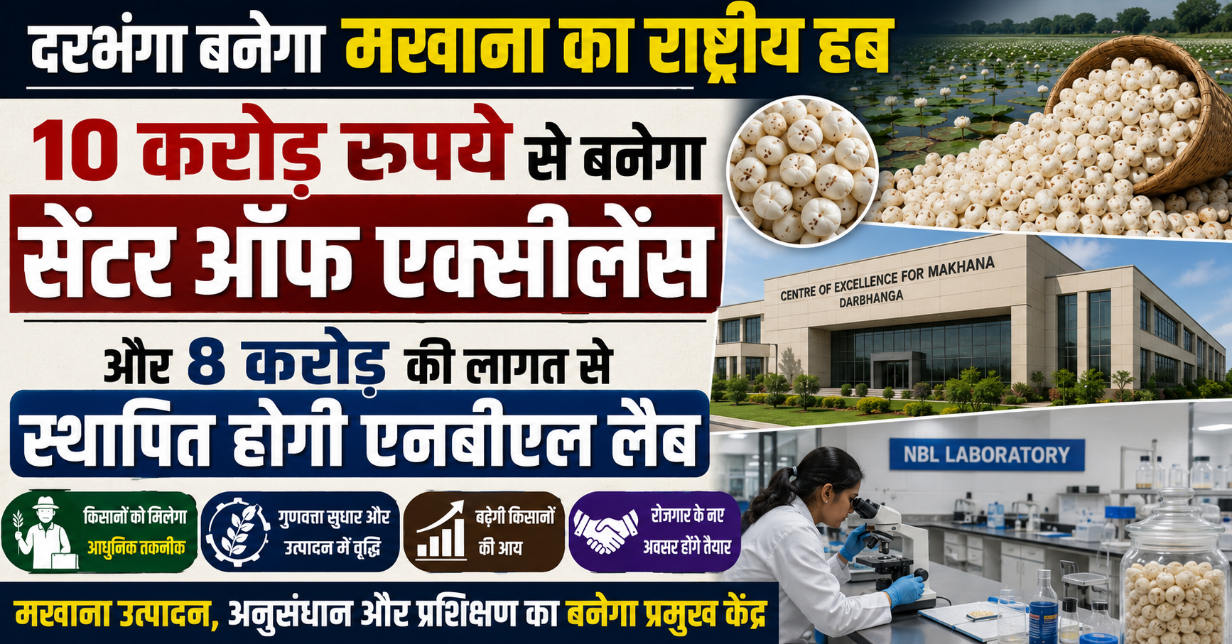 दरभंगा बनेगा मखाना का राष्ट्रीय हब, 10 करोड़ रुपये से बनेगा सेंटर ऑफ एक्सीलेंस और 8 करोड़ की लागत से स्थापित होगी एनबीएल लैब; किसानों को मिलेगा आधुनिक तकनीक का लाभ